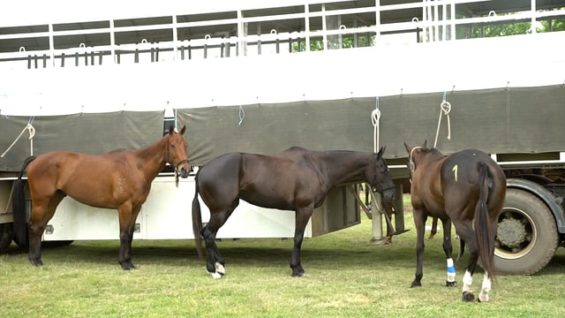 New Zealand vs India Highlights