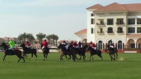 Zedan – Martin Gandara | Dubai Silver Cup