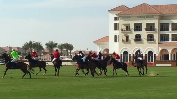 Zedan – Martin Gandara | Dubai Silver Cup