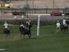 Dubai Gold Cup | Desert Palm vs Wolves Subsidiary Semifinal