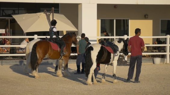 Al Habtoor Polo Club – Mohammed Al Habtoor