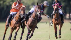 Photo from Felipe (1)