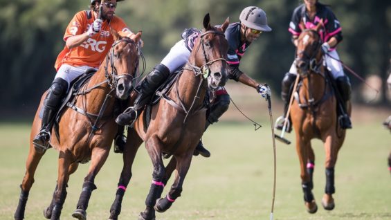 Photo from Felipe (1)