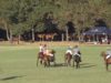 Open Du Soleil Highlights 1 – Polo Club St Tropez