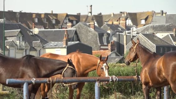 Pierre-Henri N´goumou – Deauville Season 2018