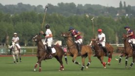 Polo News 11 (English)