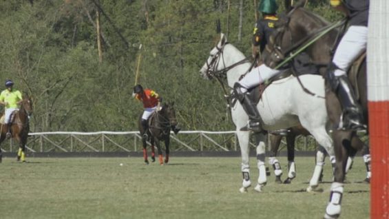 FIP European Championship – Highlights 4