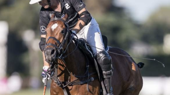 Screen Shot 2018-10-10 at 08.07.41