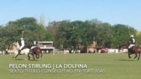 Pelon Stirling – Tortugas Open 2018