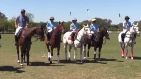 Polo News 21 (English)