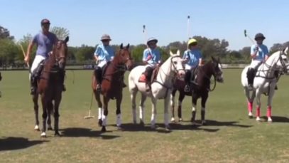 Polo News 21 (Español)