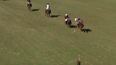 Polo News 22 (Español)