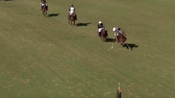 Polo News 22 (Español)