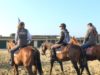 Topo Braun – Deauville Beach horses