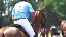 Polo News 25 (Español)