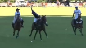 Polo News 27 (Español)