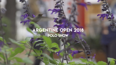 Screen Shot 2018-12-12 at 02.31.05