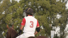 Screen Shot 2018-12-14 at 15.39.48