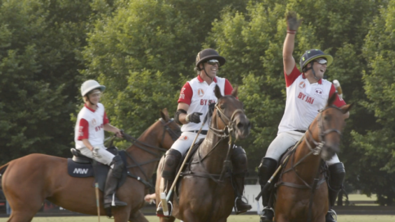 Screen Shot 2018-12-14 at 16.23.32