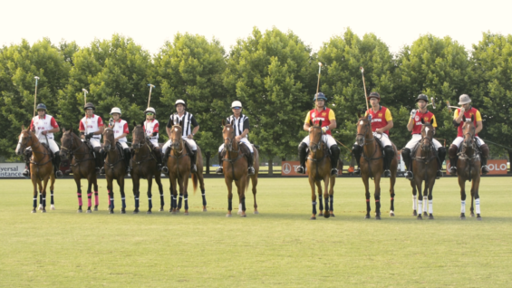 Screen Shot 2018-12-15 at 16.13.56