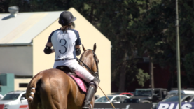 Screen Shot 2018-12-17 at 13.33.02