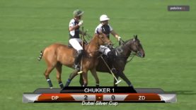 Dubai Silver Cup – Desert Palm v Zedan