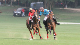 nicopieroni-pedrofll