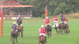 B Grimm Thai Polo Masters Plate Final – The Next Level vs Maple Leaf