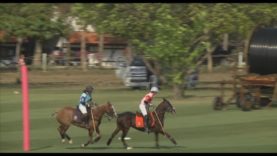 Q&A – Hazel Jackson