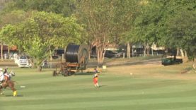 Queen’s Cup Pink Polo – La Familia v 1003 Polo