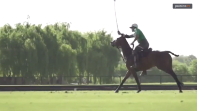 Screen Shot 2019-03-09 at 12.56.09