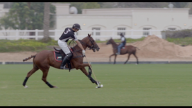 Screen Shot 2019-03-19 at 11.08.01