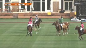 Dubai Challenge Cup – UAE v Dubai Wolves