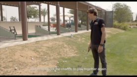 Tomas Panelo – Past, present and future