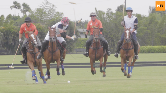 Screen Shot 2019-04-28 at 02.43.25