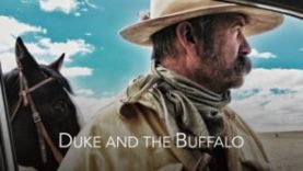 DUKE AND THE BUFFALO