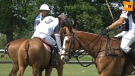 Michael Amoore – Prince of Wales 2019