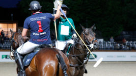 olavonovaes-marcelopascual