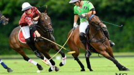 WhatsApp Image 2019-06-20 at 11.12.31 PM