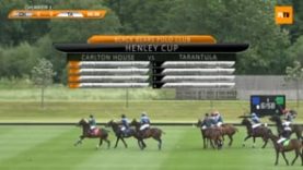 Henley Cup Subsidiary Final – Carlton House v Tarantula