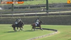 Kings Polo Master – Semifinal Mangroovy v Amanara