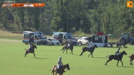 Kings Polo Master – Villa a Sesta v Mangroovy