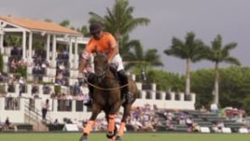 The Polo Show – Teaser