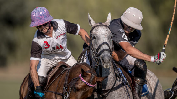 0DBFC600-9AE7-43F7-8FE7-11E7E4312288