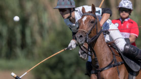 83EA0703-EDCB-4D5F-B9A4-C20CED9D8CCD