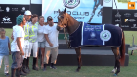 Screen Shot 2019-07-15 at 14.54.53