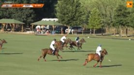 International Polo Cup (15) – Alfi Investment v Antelope