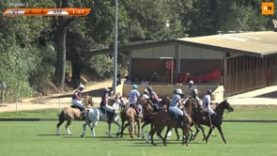 International Polo Cup (15) – VT Wealth Management v Amanara