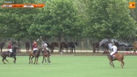 International Polo Cup (15) – VT Wealth Management v Antelope