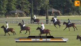 Polo News 45